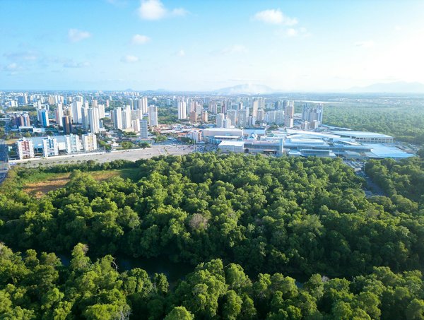 10 astuces pour réussir une étude de marché de projet